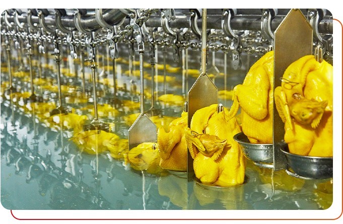 預(yù)制菜供應(yīng)商產(chǎn)品安全衛(wèi)生嗎？